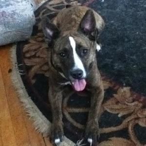 Meet your Posher, Steven